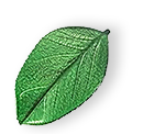 floating_leaf_01 https://vecteur.cresus-institut.ovh/wp-content/uploads/2025/07/floating_leaf_01.png