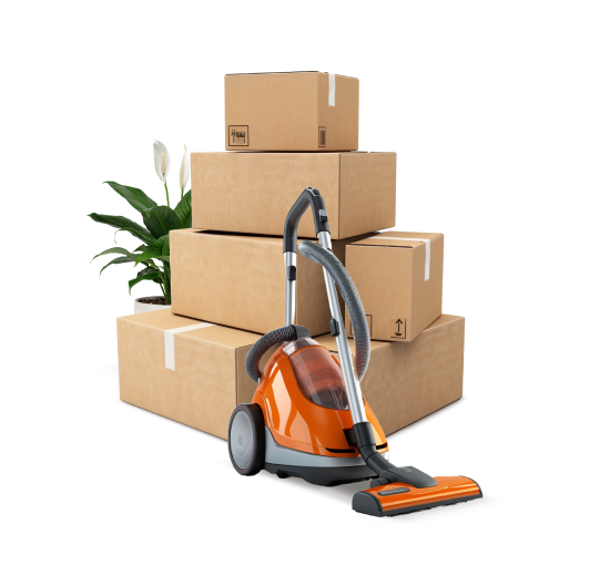 services_image_02 https://vecteur.cresus-institut.ovh/wp-content/uploads/2025/07/services_image_02.png